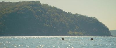 GPBR642.jpg