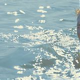 Filename=GPBR631.jpg
Filesize=198KiB
Dimensions=1920x804
Date added=Feb 14, 2024 GPBR631.jpg