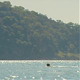 GPBR642.jpg