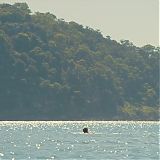 GPBR643.jpg