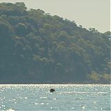 GPBR644.jpg
