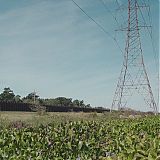 GPBR1010.jpg