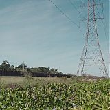 GPBR1012.jpg