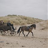 GPBR309.jpg