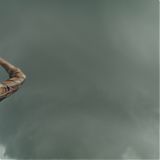 Filename=GPBR1370.jpg
Filesize=318KiB
Dimensions=3840x1606
Date added=Aug 23, 2024 GPBR1370.jpg