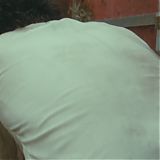 Filename=GPBR1865.jpg
Filesize=305KiB
Dimensions=3840x1606
Date added=Aug 23, 2024 GPBR1865.jpg