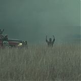 GPBR264.jpg
