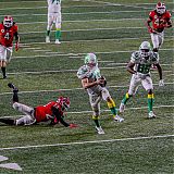 Filename=GPBR019.jpg
Filesize=3595KiB
Dimensions=3165x2261
Date added=Sep 04, 2024 GPBR019.jpg